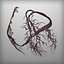 Human Heart