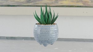 Cactus artificial plant decoration model