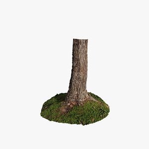 3D Anydrafts Salix matsudana Trunk 01 model