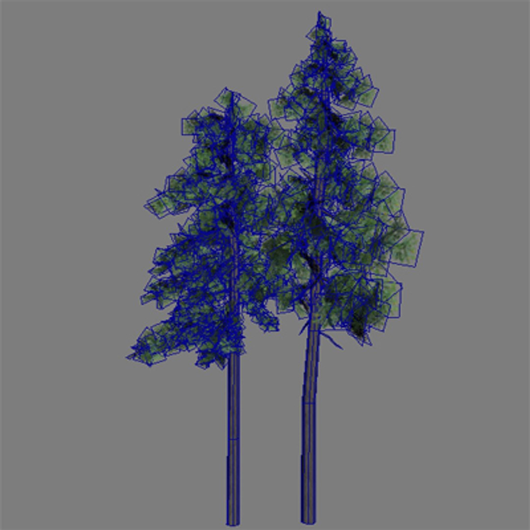 3d Pc Tree Model
