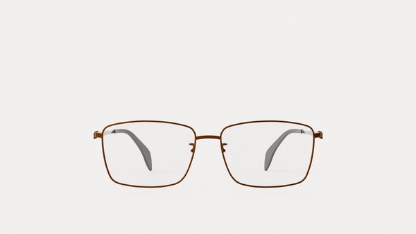 Alexander McQueen AM0278O Glasses 3D model