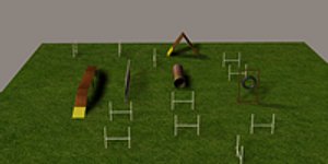 agility course
