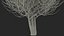 Laurel Bark Tree