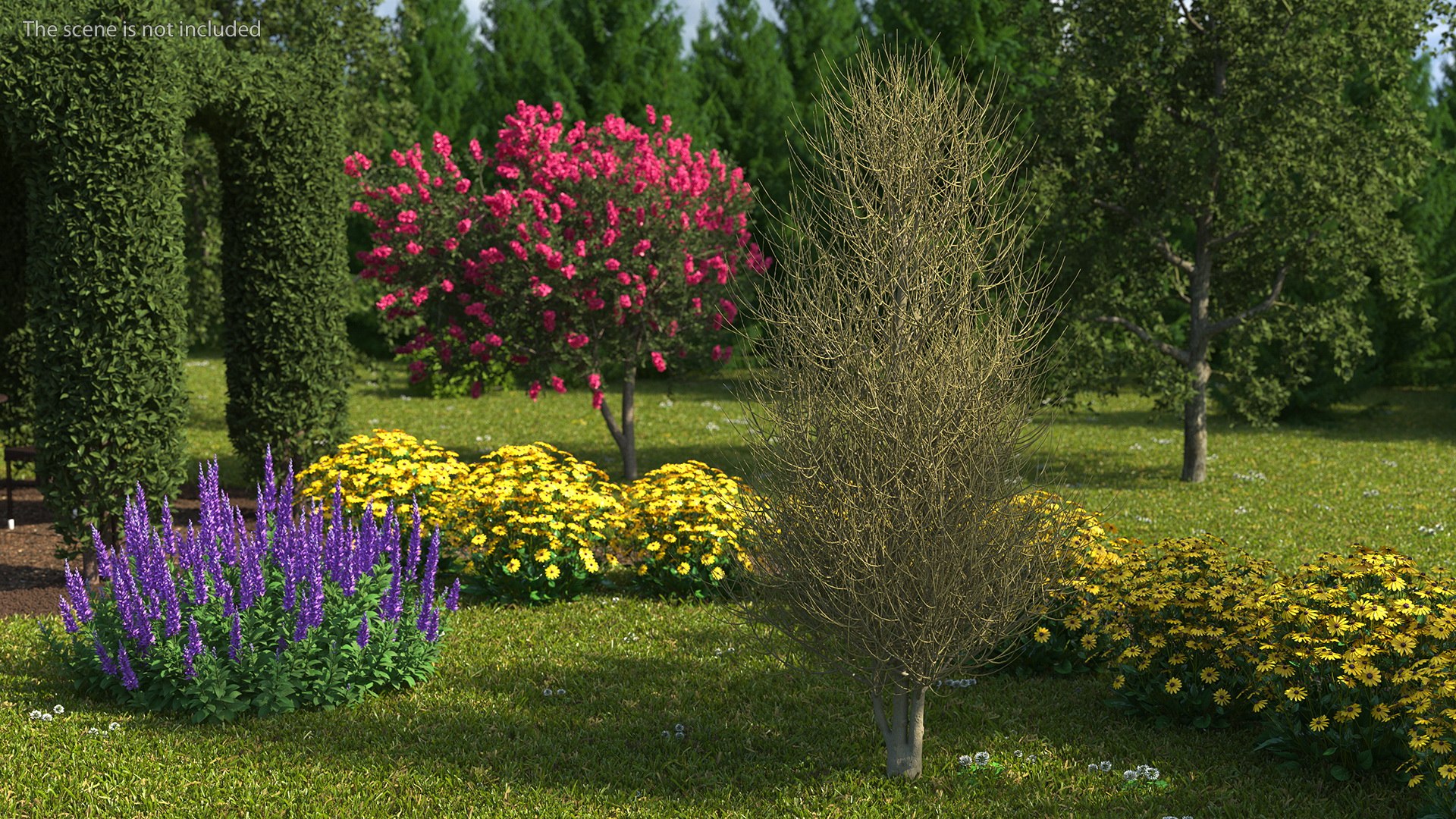 3D laurel bark tree https://p.turbosquid.com/ts-thumb/Et/8p5TRm/Ib/laurelbarktreemb3dmodel002/jpg/1612830395/1920x1080/fit_q87/48845c409bf0e43ec68d347cf59c7b033edaa946/laurelbarktreemb3dmodel002.jpg