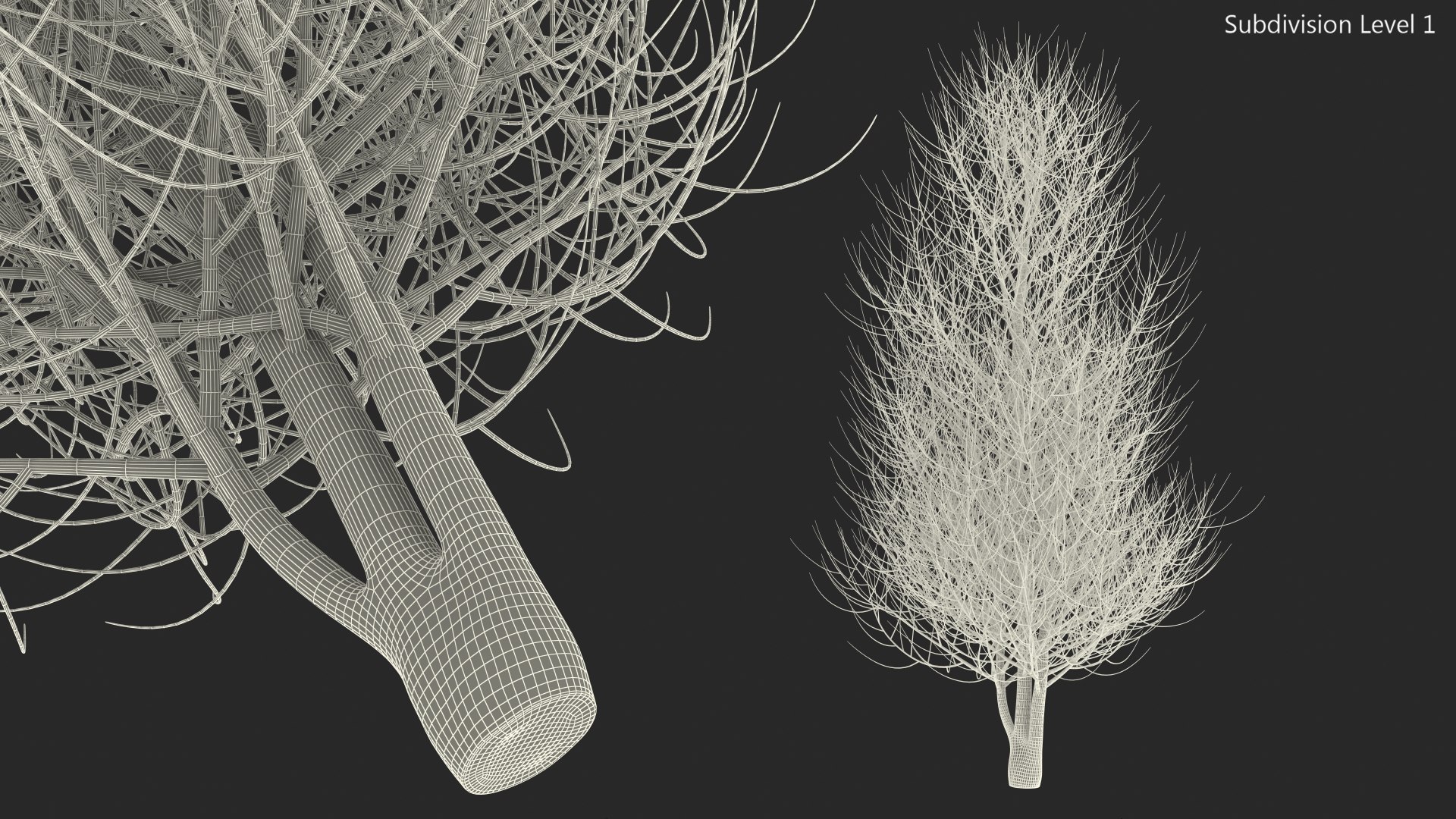 3D laurel bark tree https://p.turbosquid.com/ts-thumb/Et/8p5TRm/LN/laurelbarktreemb3dmodel016/jpg/1612830583/1920x1080/fit_q87/5a4e2a90aede3dcb4bb2f2c08e681fca7e0d1311/laurelbarktreemb3dmodel016.jpg