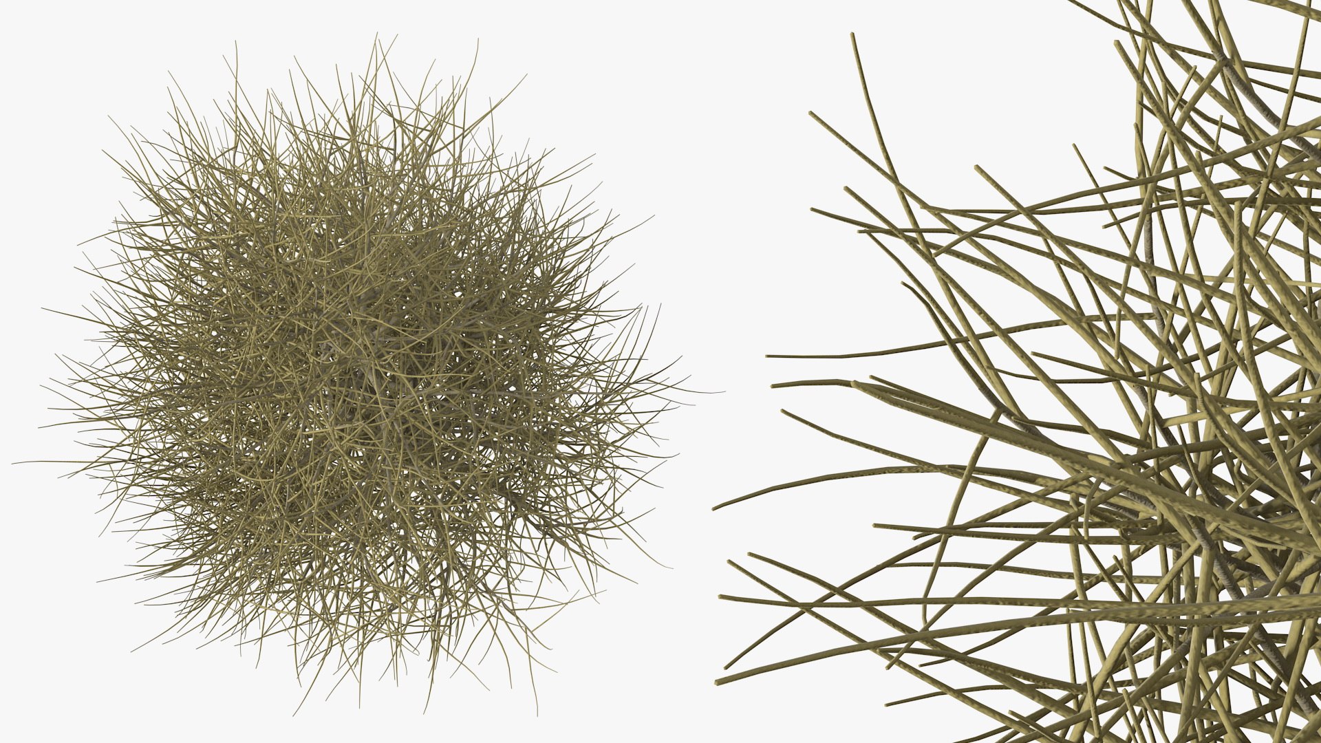 3D laurel bark tree https://p.turbosquid.com/ts-thumb/Et/8p5TRm/Zn/laurelbarktreemb3dmodel005/jpg/1612830433/1920x1080/fit_q87/6c0160029dc0954c4dd8c2e15688d4a50dbadc2d/laurelbarktreemb3dmodel005.jpg