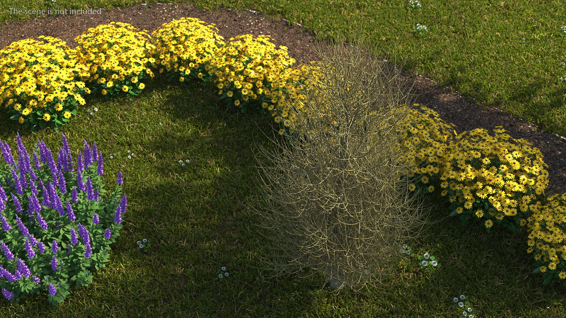 3D laurel bark tree https://p.turbosquid.com/ts-thumb/Et/8p5TRm/gS/laurelbarktreemb3dmodel003/jpg/1612830407/1920x1080/fit_q87/5812c8782618d457fec9a6d610b6bee141c46a7c/laurelbarktreemb3dmodel003.jpg