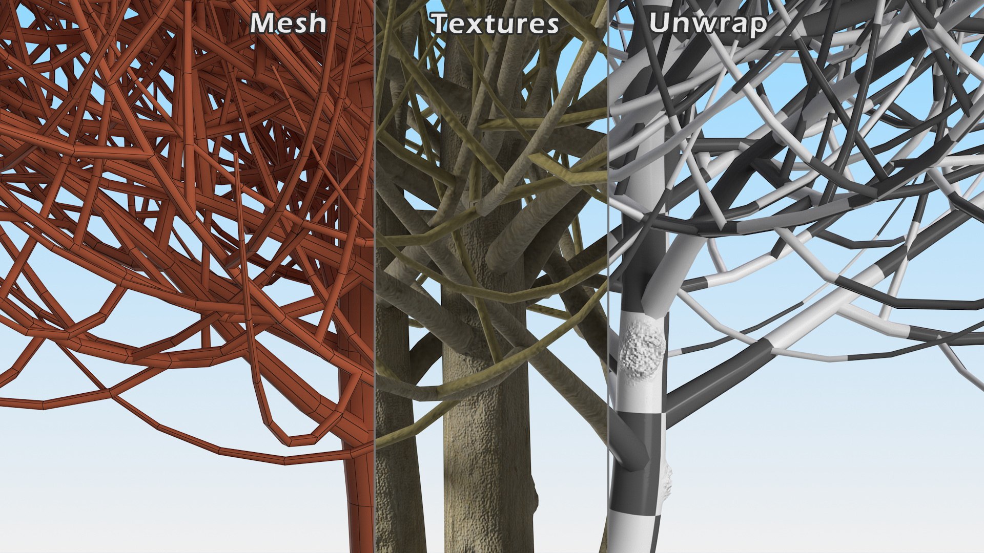 3D laurel bark tree https://p.turbosquid.com/ts-thumb/Et/8p5TRm/kJ/laurelbarktreemb3dmodel010/jpg/1612830503/1920x1080/fit_q87/e4b7ae6134b09eb9bd65ca748a2656f8de80652d/laurelbarktreemb3dmodel010.jpg