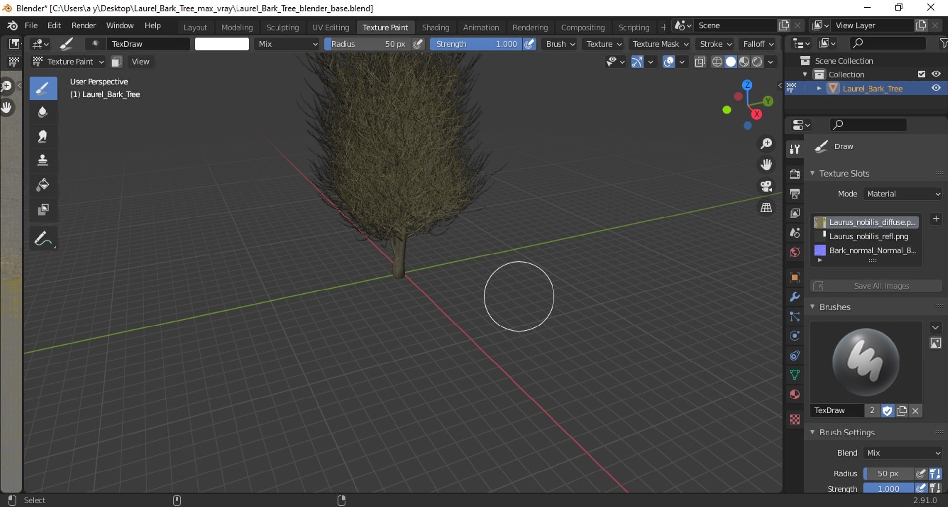 3D laurel bark tree https://p.turbosquid.com/ts-thumb/Et/8p5TRm/sz/laurelbarktreemb3dmodel014/jpg/1612830557/1920x1080/fit_q87/2840bbd1794f1454480b55a544644f3b4253da96/laurelbarktreemb3dmodel014.jpg