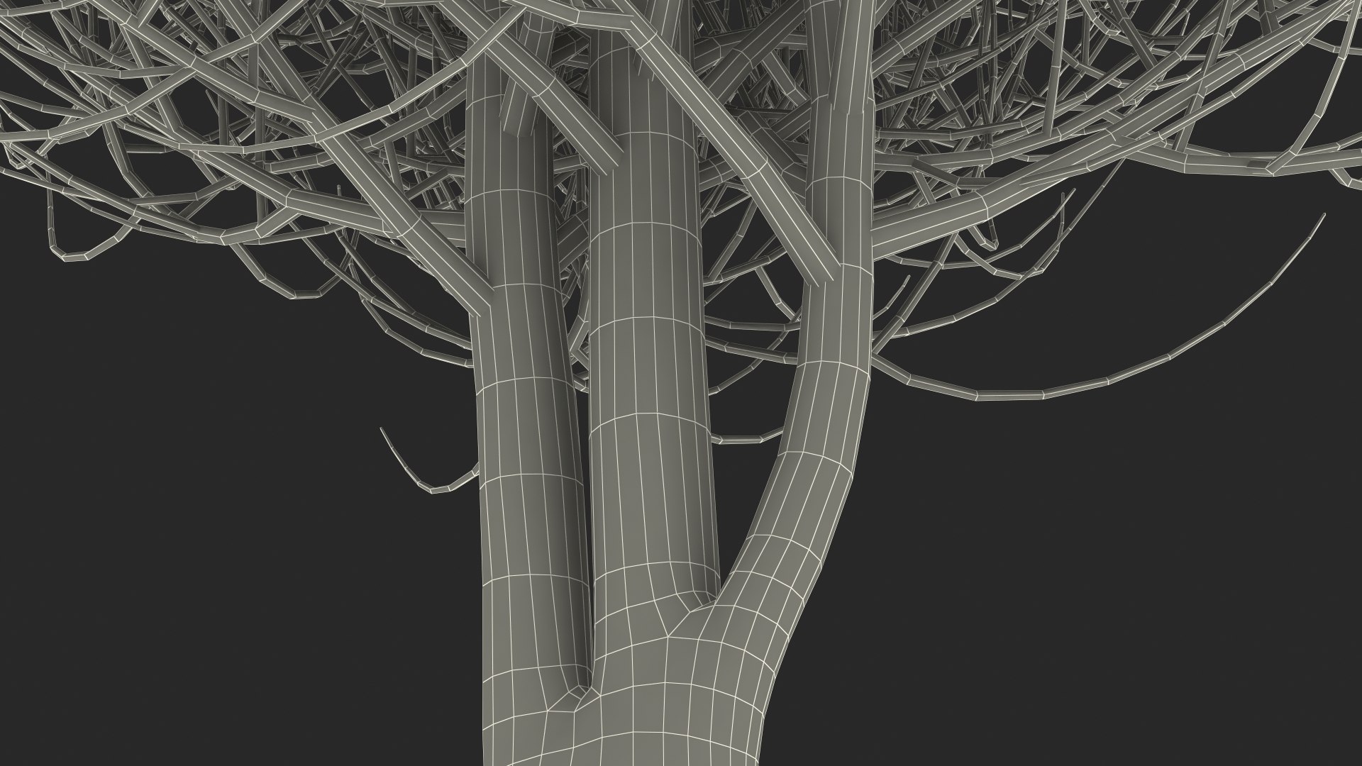 3D laurel bark tree https://p.turbosquid.com/ts-thumb/Et/8p5TRm/t4/laurelbarktreemb3dmodel022/jpg/1612830671/1920x1080/fit_q87/207fb12e341fddab17252a75d26caf333b872818/laurelbarktreemb3dmodel022.jpg