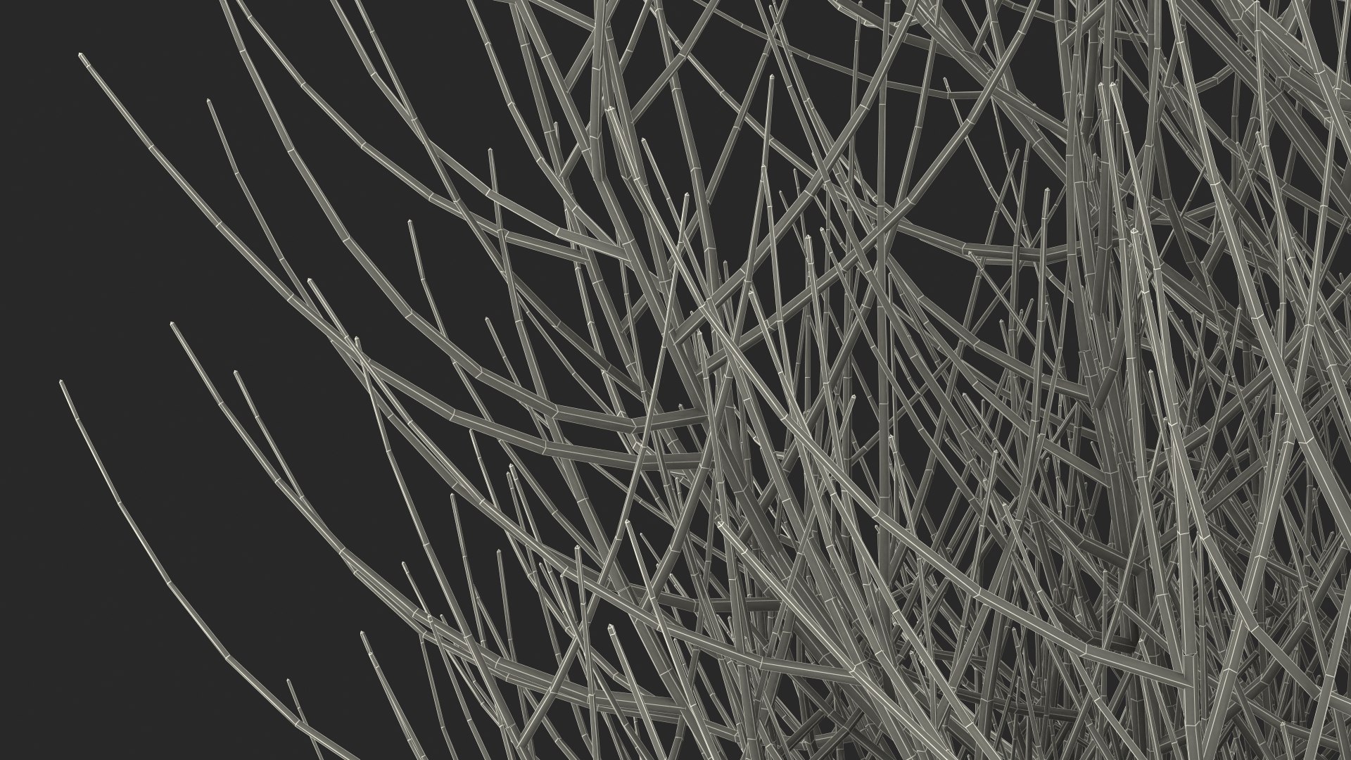 3D laurel bark tree https://p.turbosquid.com/ts-thumb/Et/8p5TRm/yT/laurelbarktreemb3dmodel024/jpg/1612830698/1920x1080/fit_q87/931a552933bdf3958196ebc287180be901f3816a/laurelbarktreemb3dmodel024.jpg