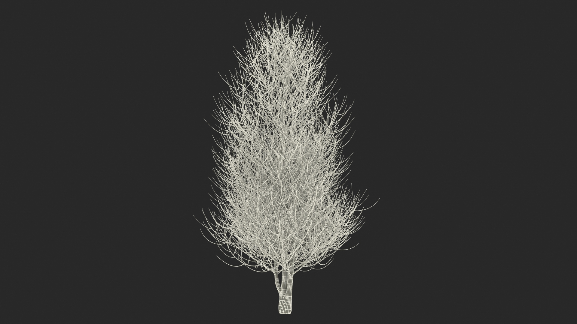 3D laurel bark tree https://p.turbosquid.com/ts-thumb/Et/8p5TRm/zG/laurel_bark_tree_361/jpg/1612828261/1920x1080/turn_fit_q99/bfae9df0c2f3de2f855e4081bc13bb2d8e20d674/laurel_bark_tree_361-1.jpg
