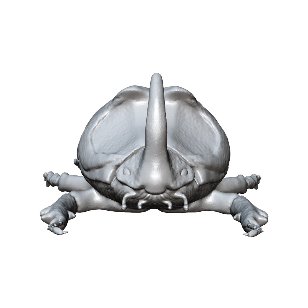 beetle rhinoceros 3d 3ds https://p.turbosquid.com/ts-thumb/Et/DgAeoJ/DTvhtc63/5/png/1484983730/1920x1080/fit_q87/4d61b97f42f2db3b06604d7aff95af84d52a77e9/5.jpg