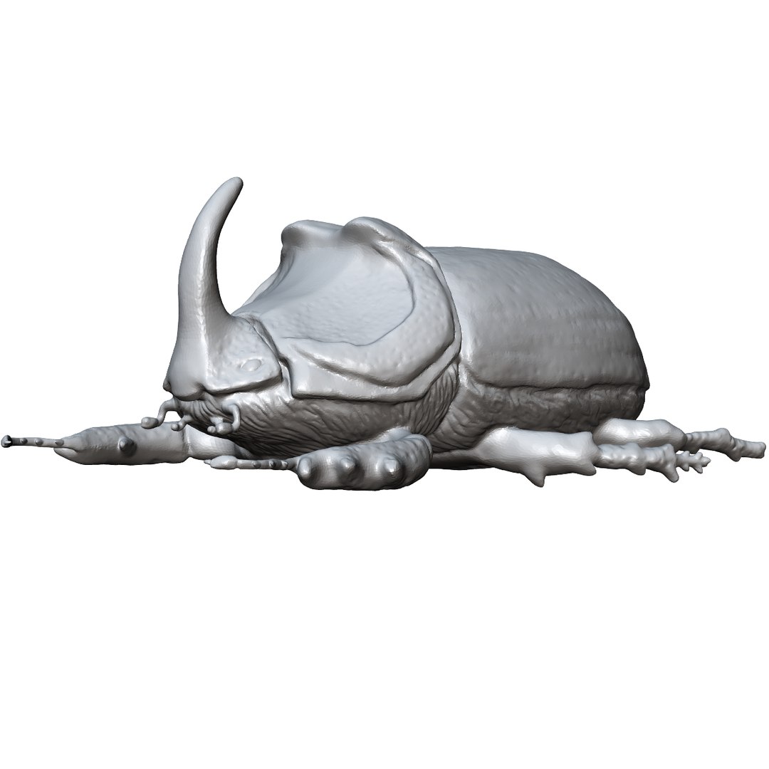 beetle rhinoceros 3d 3ds https://p.turbosquid.com/ts-thumb/Et/DgAeoJ/ITy3ohI8/6/png/1484983730/1920x1080/fit_q87/305525120924409b3fea86774df7114ffcec8c2d/6.jpg