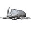 rhinoceros beetle