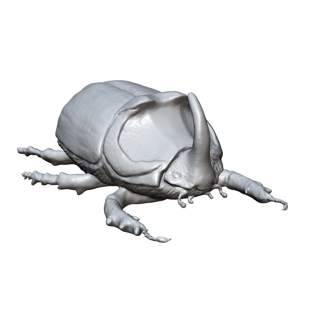 beetle rhinoceros 3d 3ds https://p.turbosquid.com/ts-thumb/Et/DgAeoJ/VaWC67Bn/1/png/1484983730/1920x1080/fit_q87/d1e818a489f8bf8bb565fa9b3be753ffbb222198/1.jpg