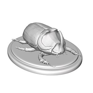 beetle rhinoceros 3d 3ds