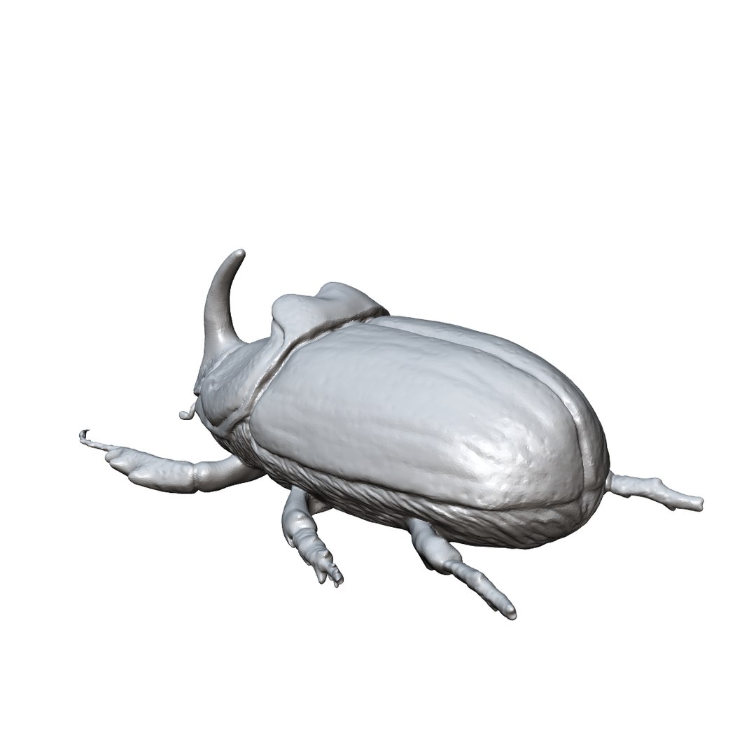 beetle rhinoceros 3d 3ds https://p.turbosquid.com/ts-thumb/Et/DgAeoJ/rlpylBuq/4/png/1484983730/1920x1080/fit_q87/7b33aa1fcf31ff7a752ac9a1b24e4b846da350b2/4.jpg