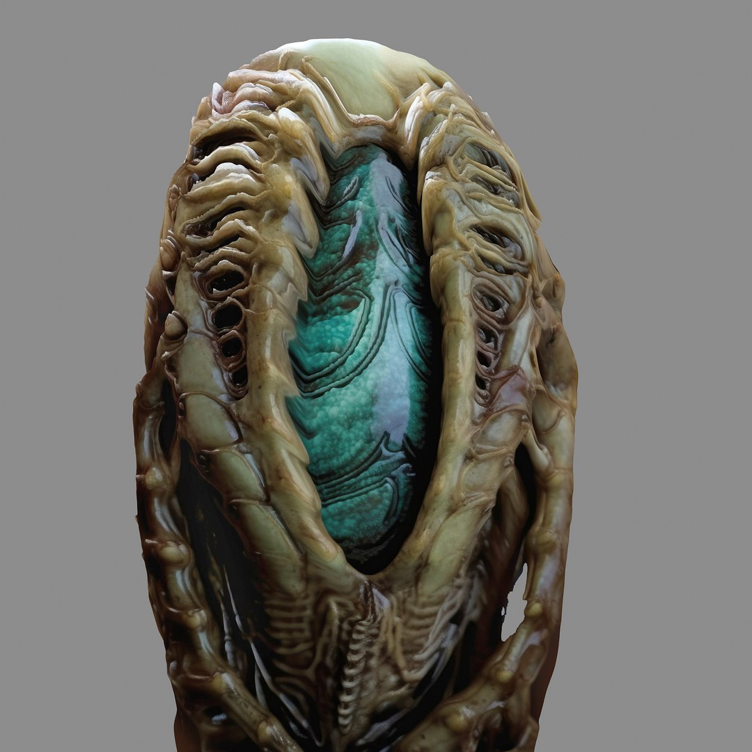 3D Alien Egg  Life Form model https://p.turbosquid.com/ts-thumb/Et/I1jbR7/XJ/78678678/jpg/1703029329/1920x1080/fit_q87/be12606001e6ee70d2908bb28bd1b586bd68cc97/78678678.jpg