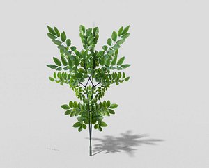 shrub games obj