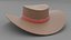 Sombrero de cuero modelo 3d