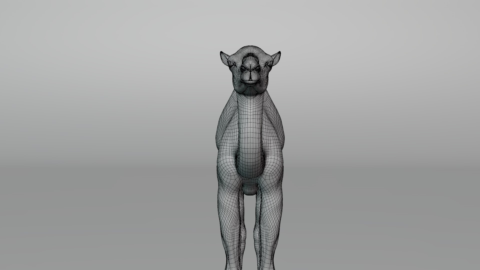 3D camel fur baby model https://p.turbosquid.com/ts-thumb/Et/XgmCwi/Ibauimwd/camel_baby_wire01/png/1596188821/1920x1080/fit_q87/1a8f0788eccfc4543977b3261b07ab9b5daa1788/camel_baby_wire01.jpg