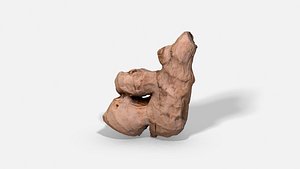 ginger root - photoscanned 3D model