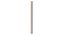 Scale Ruler