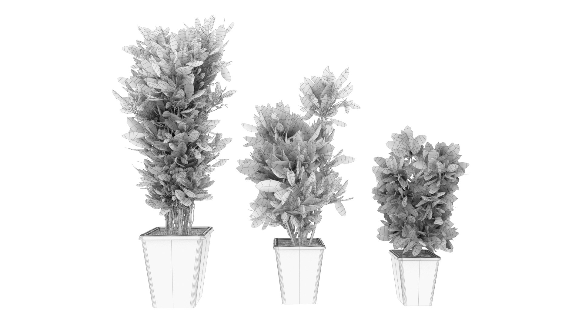 Collection plant vol 12 - indoor - croton 3D https://p.turbosquid.com/ts-thumb/Et/qMCcuh/qV/6/jpg/1646752227/1920x1080/fit_q87/51a1a4a12f80e52ebc60b865ae74baa8be26525f/6.jpg