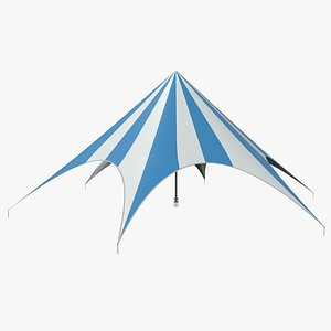 3D Tensile Structure Star model