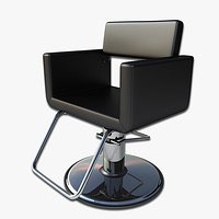 Salon Chair