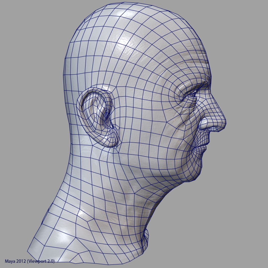 maya middle aged man https://p.turbosquid.com/ts-thumb/Eu/AmjDqU/2IH29Nvm/maman_head_12/jpg/1385038954/1920x1080/fit_q87/02ac9d8f21de88b931fc8f00910f0fed70591266/maman_head_12.jpg