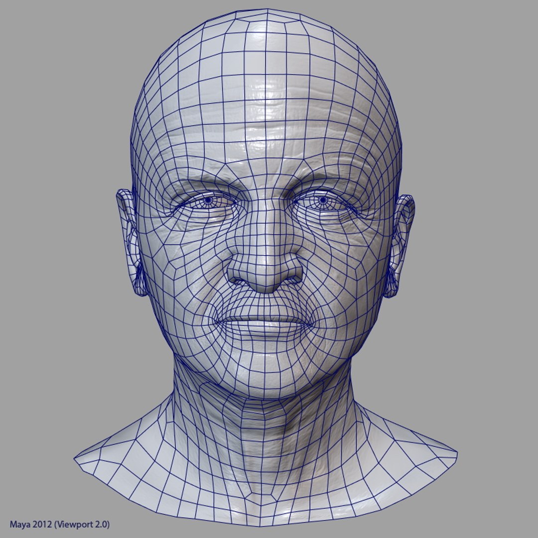 maya middle aged man https://p.turbosquid.com/ts-thumb/Eu/AmjDqU/MRB7xjQH/maman_head_10/jpg/1385038954/1920x1080/fit_q87/00e74fa888cdbc1cda256e20c33509b23eb335da/maman_head_10.jpg