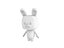 Cartoon Rabbit