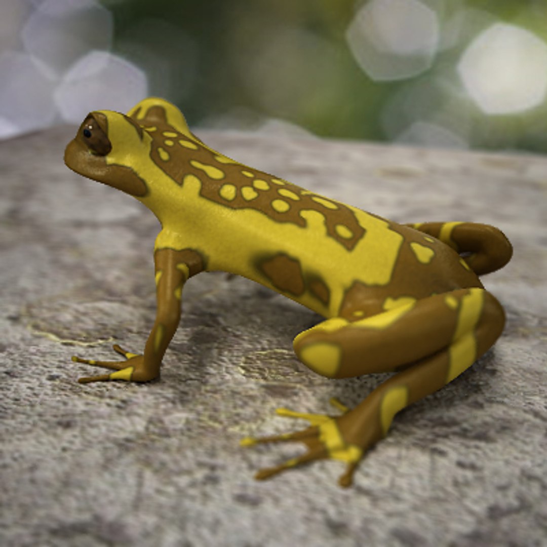 3d model of tree frog hourglass https://p.turbosquid.com/ts-thumb/Eu/DqnBBA/UGoqCaCk/hurglassc2/jpg/1252422660/1920x1080/fit_q87/6b3eedd7d72480181deacf4a671455e04da77c37/hurglassc2.jpg