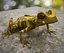Sanduhrlaubfrosch von 3DRivers