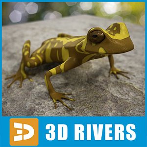 Hourglass tree frog by 3DRivers
