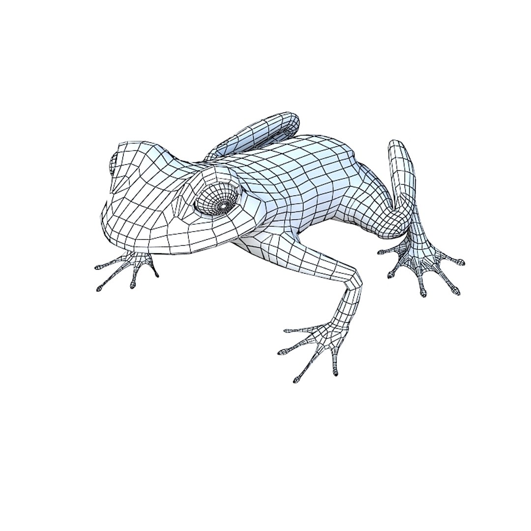 3d model of tree frog hourglass https://p.turbosquid.com/ts-thumb/Eu/DqnBBA/pzATGt3L/hourglasstreefrogw01/jpg/1252422624/1920x1080/fit_q87/0107e61c6b7a7054a8bf78730ae9d0a72ea84573/hourglasstreefrogw01.jpg