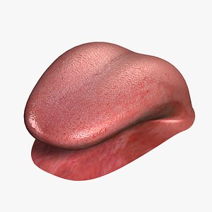Human Tongue v2.0