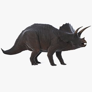 max realistic triceratops rigged