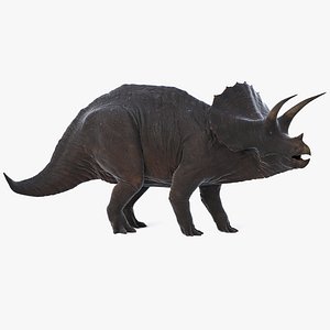 Triceratops Rigged