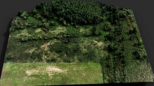 3D landscape bushes fields terrain patch 2 PBR photogrammetry