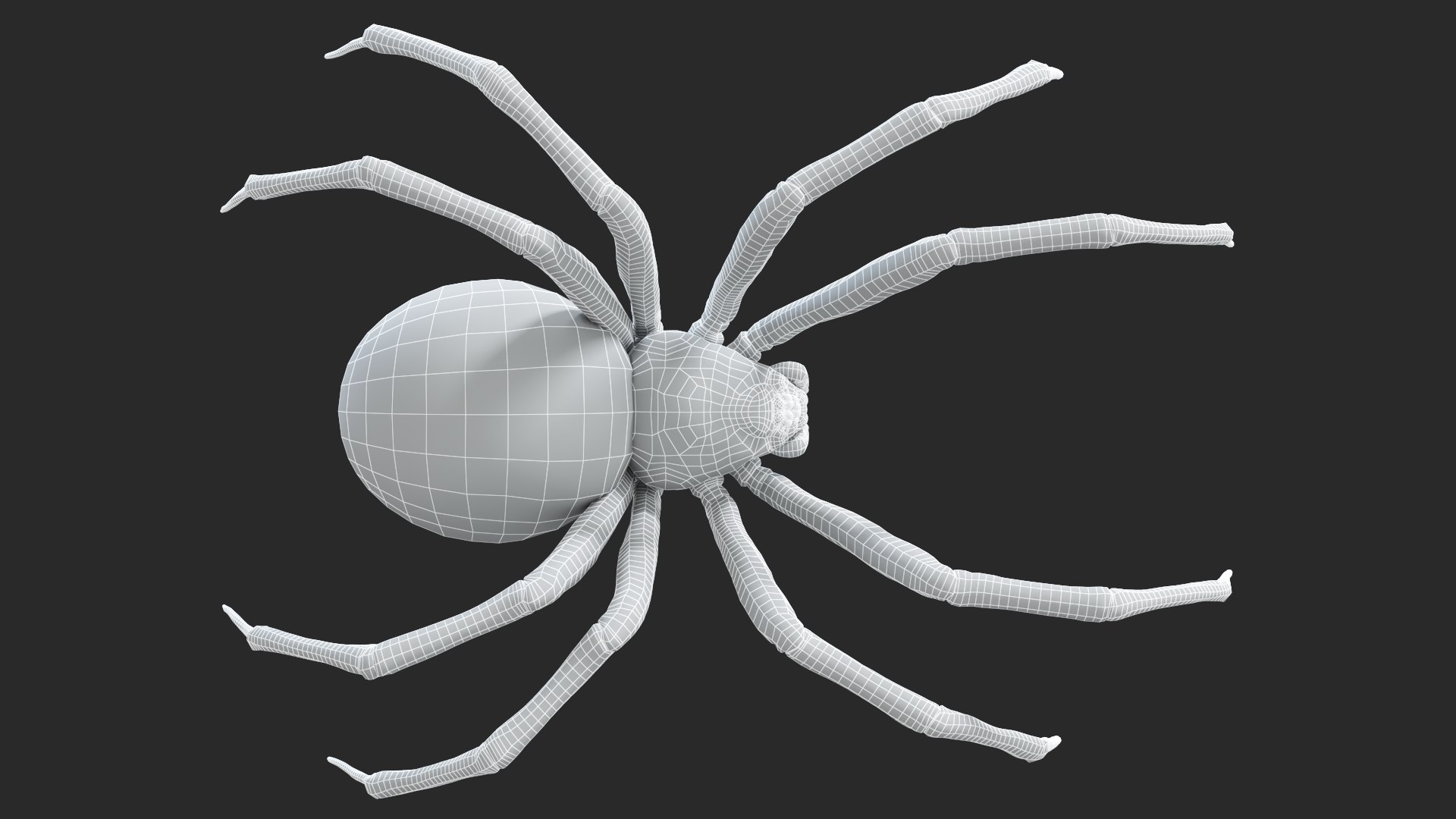 3D Black Widow Static https://p.turbosquid.com/ts-thumb/Eu/Yect8Z/Gp/blackwidow_wireframe4/jpg/1672348941/1920x1080/fit_q87/86b430c6911e63bf97405d6271f0bf690c49ab46/blackwidow_wireframe4.jpg
