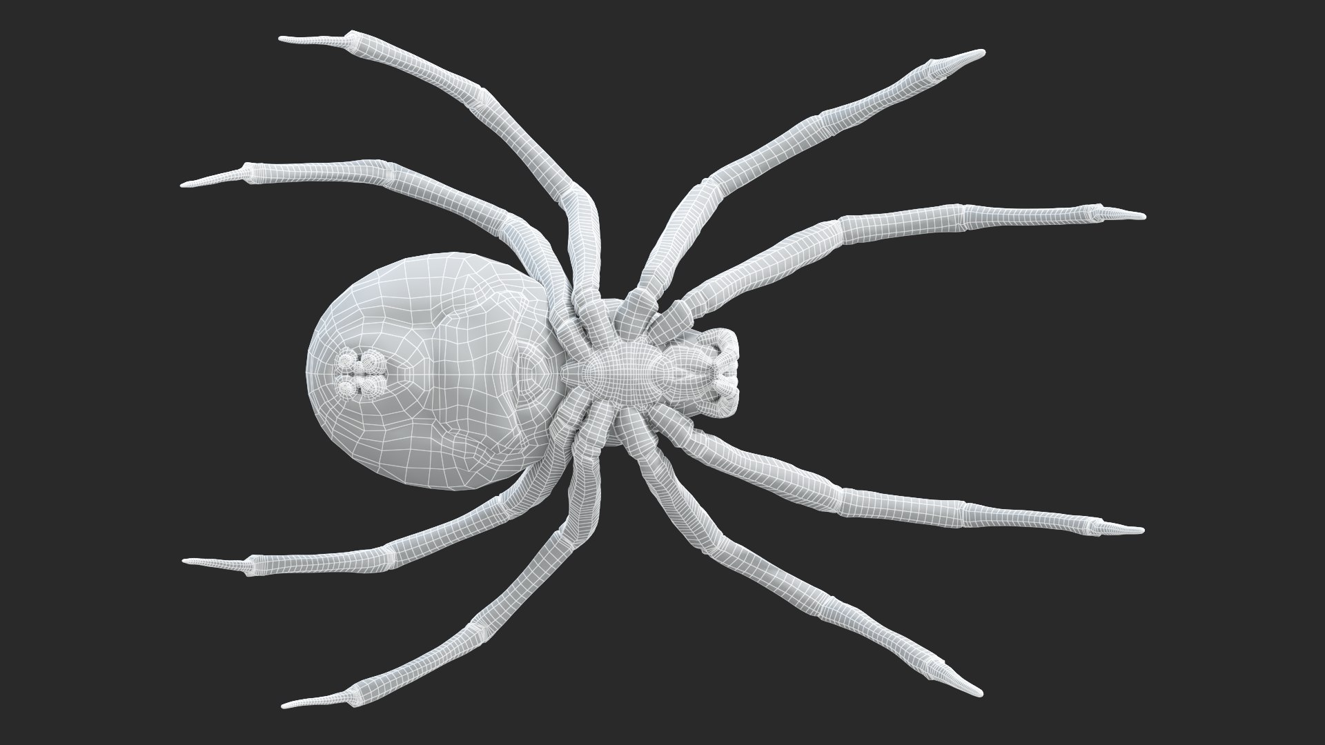 3D Black Widow Static https://p.turbosquid.com/ts-thumb/Eu/Yect8Z/i7/blackwidow_wireframe5/jpg/1672348942/1920x1080/fit_q87/55cf8e6f294937d0df6aa14ca8b4250f530398bb/blackwidow_wireframe5.jpg