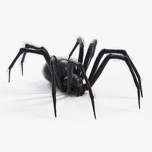 Black Widow Static
