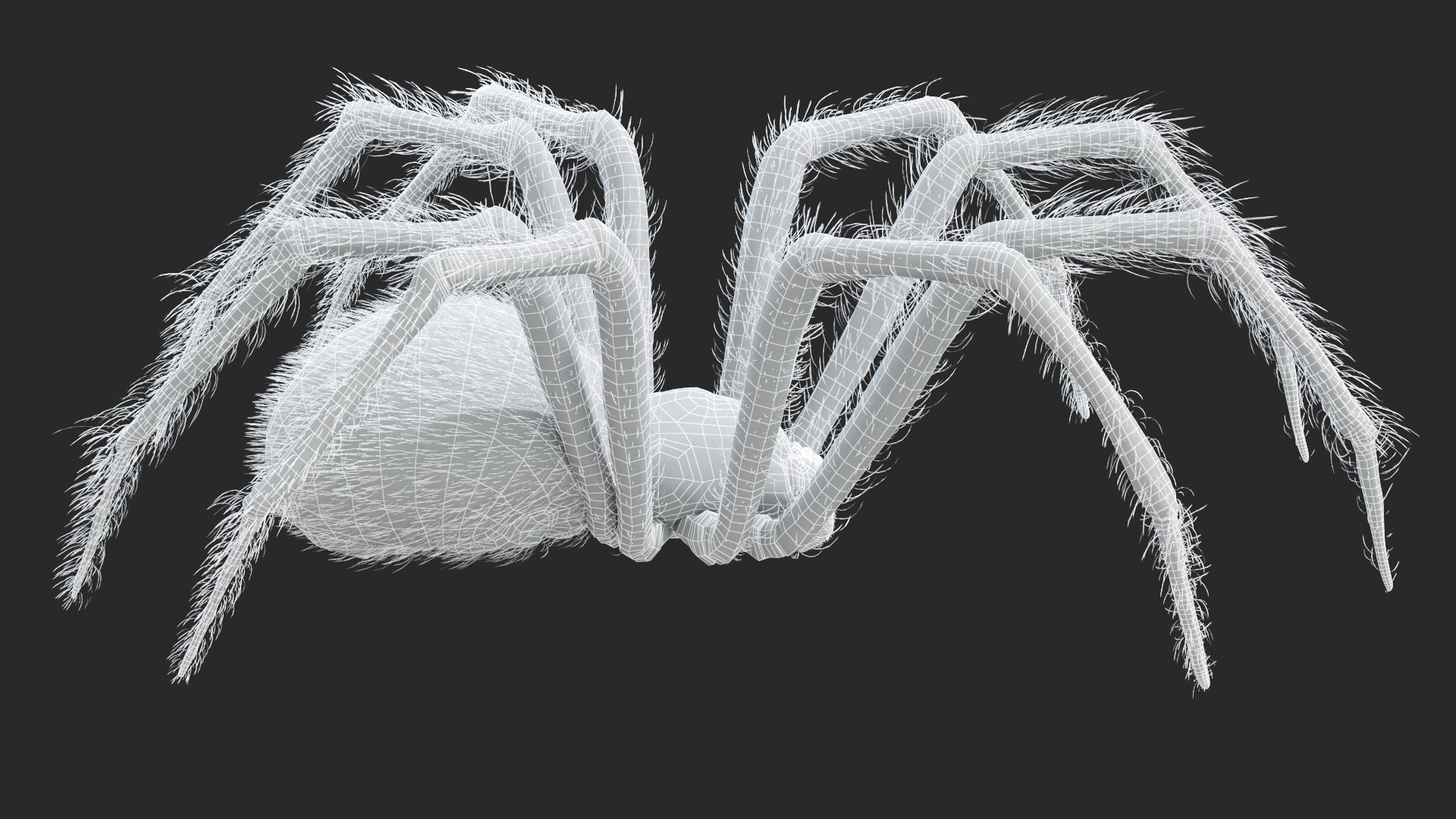 3D Black Widow Static https://p.turbosquid.com/ts-thumb/Eu/Yect8Z/xw/blackwidow_wireframe1/jpg/1672348940/1920x1080/fit_q87/ef7918f8acbf455b1fc45eff4cce9e5326cbe63a/blackwidow_wireframe1.jpg