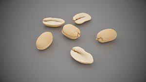 Peanuts  Kernels Low-poly 3D model