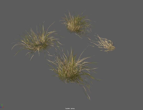 grass plants agricultural 3d model