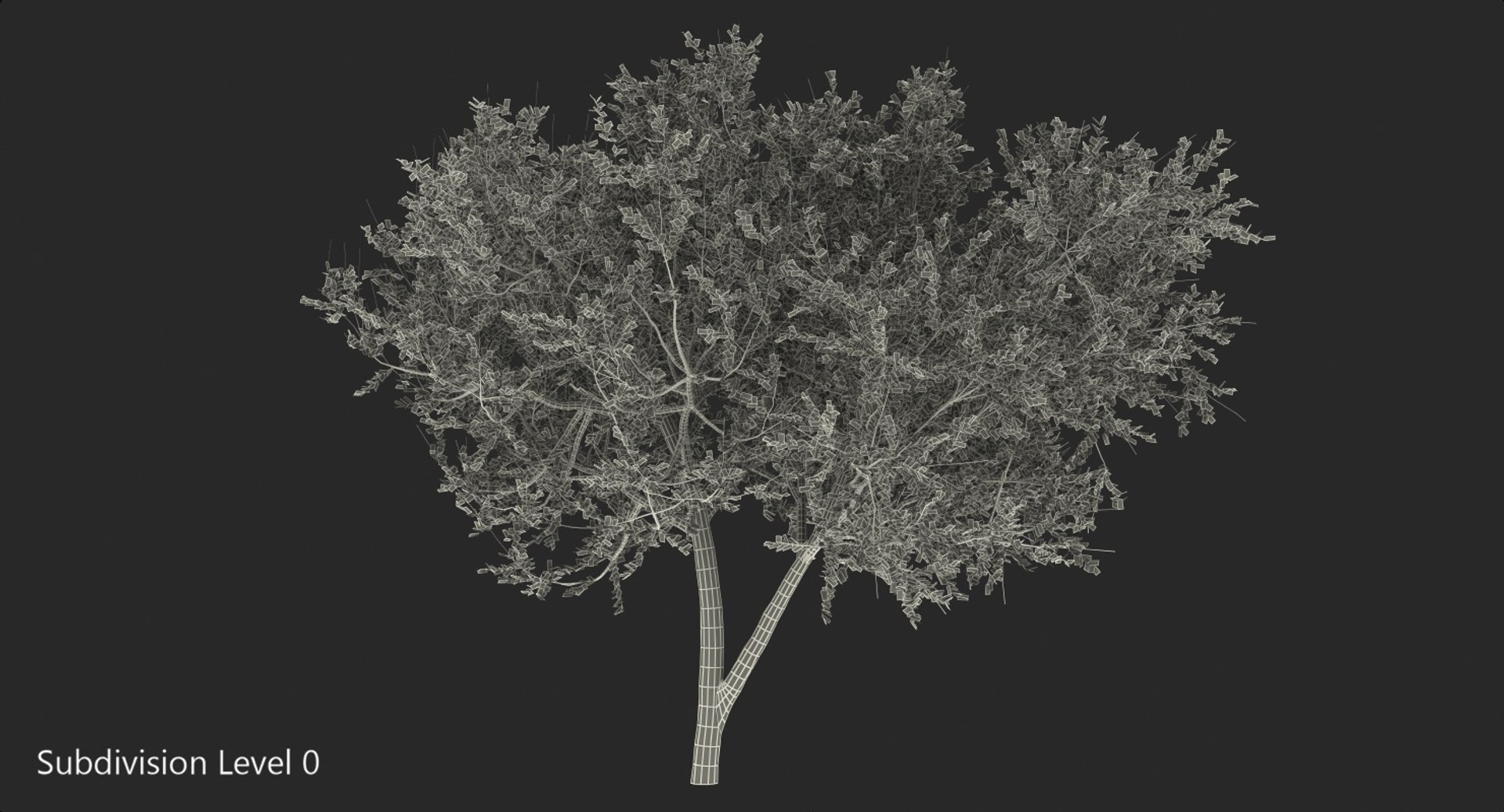 Small Evergreen Tree Green 3D Model - TurboSquid 1389455