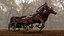 Carriage with Horses